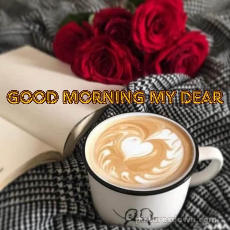 Romantic good morning message picture red roses free download