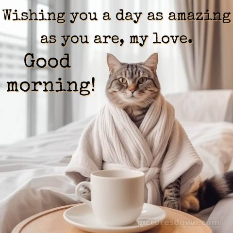 Romantic good morning message picture cat free download