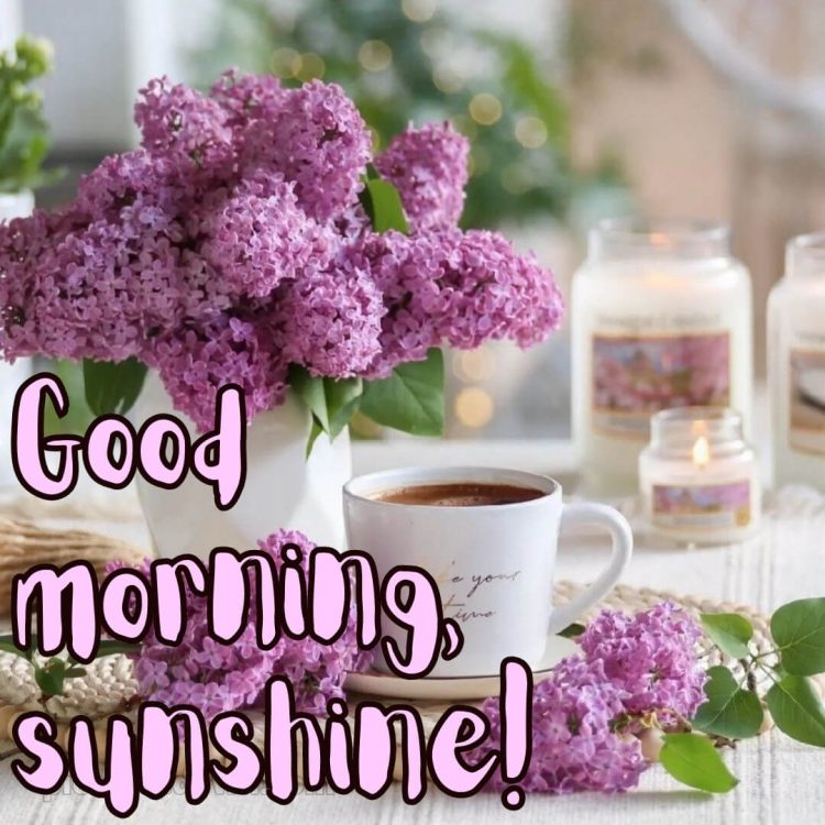 Romantic good morning message picture lilac free download