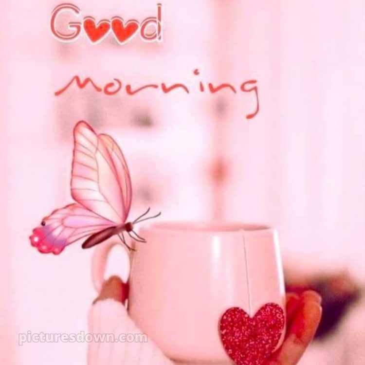 Romantic good morning messages picture butterfly free download