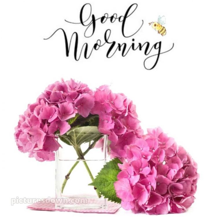 Romantic good morning messages picture hydrangeas free download