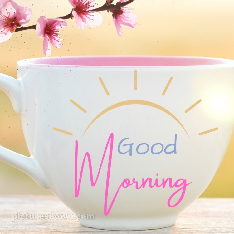 Romantic good morning messages picture cup free download