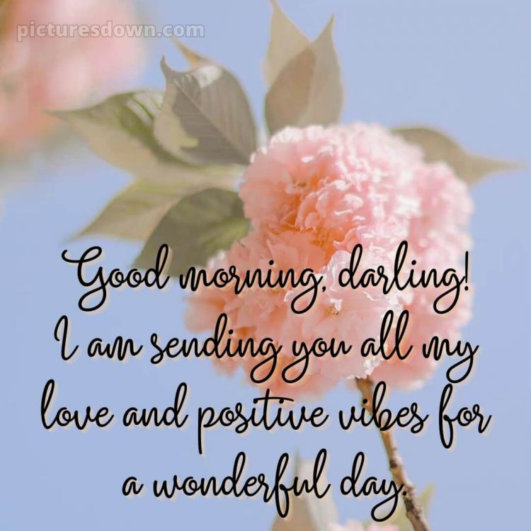 Romantic good morning messages picture flowers free download