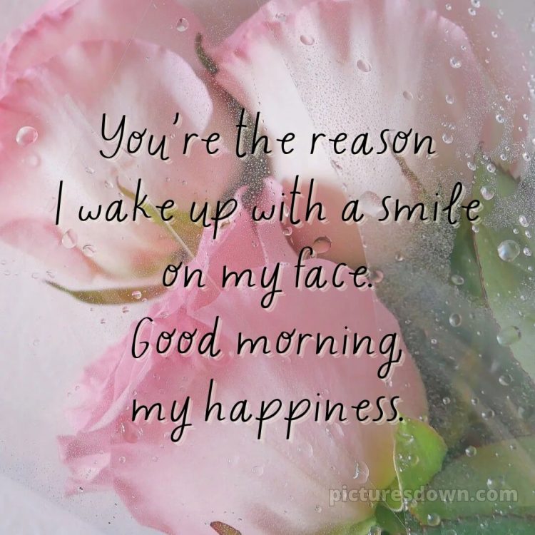 Romantic good morning sweetheart picture flowers free download