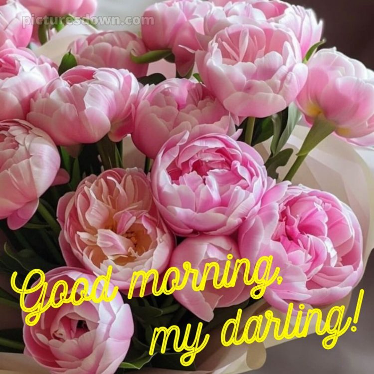 Romantic good morning sweetheart picture peonies free download