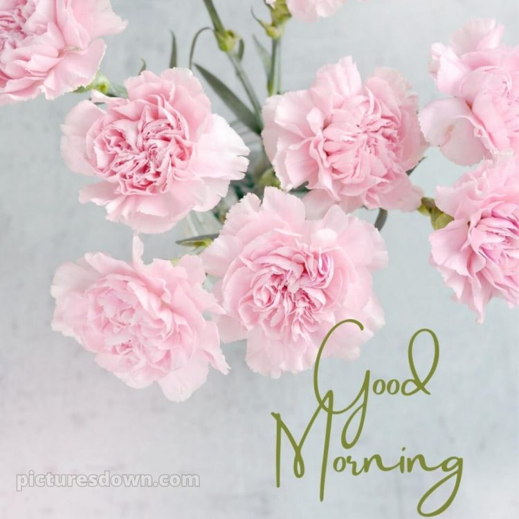 Romantic good morning sweetheart picture pink flowers free download