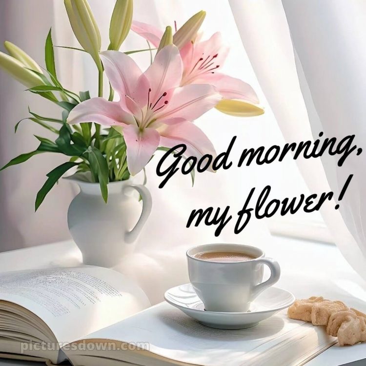 Romantic good morning sweetheart picture book free download