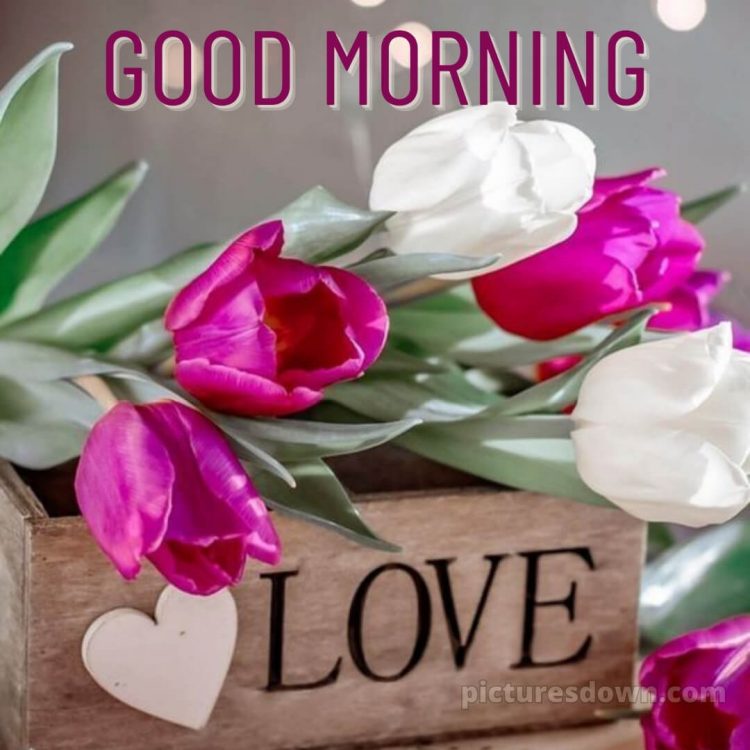 Romantic good morning sweetheart picture tulips free download