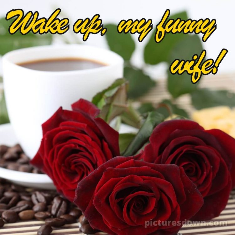 Romantic good morning wife picture three roses free download
