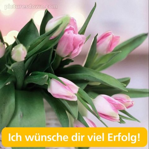 Das wünsche ich dir bild Tulpen kostenlos