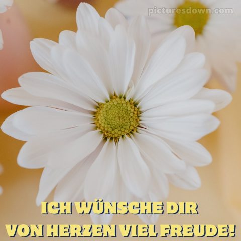 Das wünsche ich dir von Herzen bild weiße Blume kostenlos