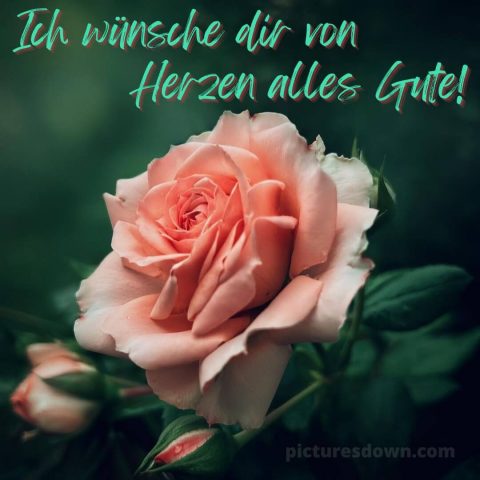 Das wünsche ich dir von Herzen bild Rose kostenlos