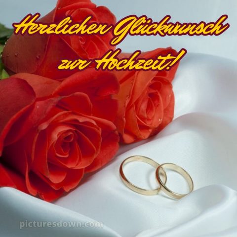 Glückwünsche zur hochzeit bild Rosen kostenlos