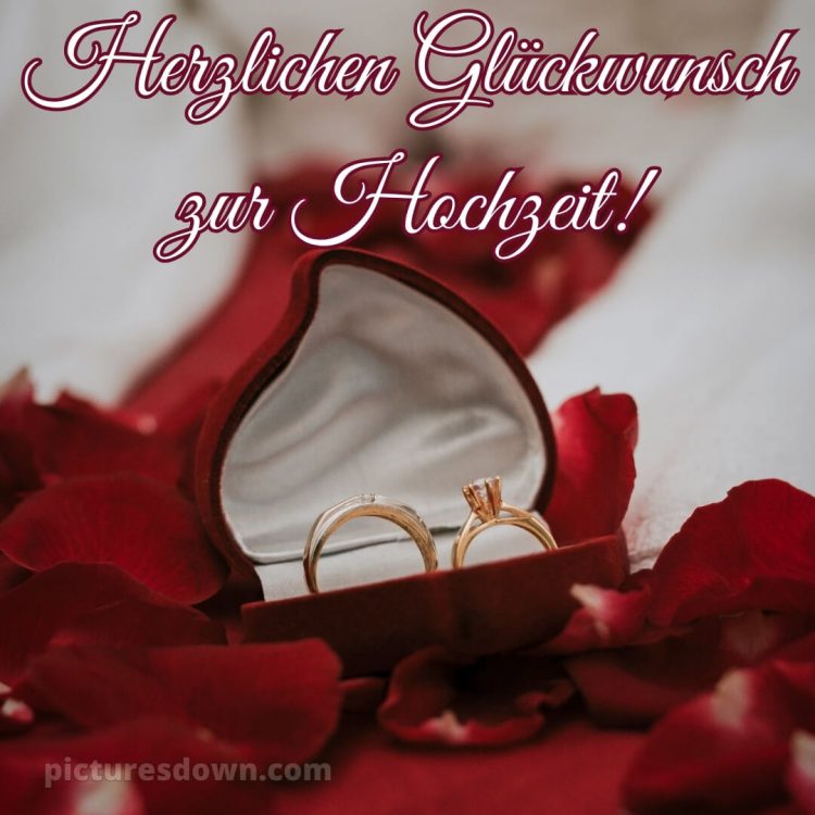 Glückwünsche zur hochzeit modern bild zwei Ringe kostenlos