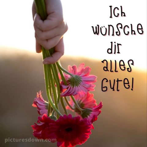 Ich wünsche dir alles gute bild Blumen in der Hand kostenlos