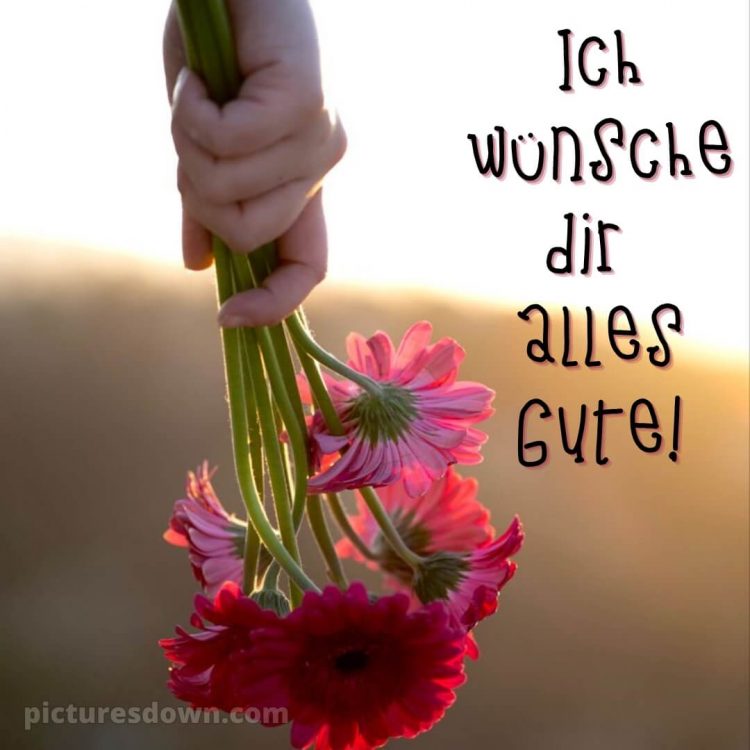 Ich wünsche dir alles gute bild Blumen in der Hand kostenlos