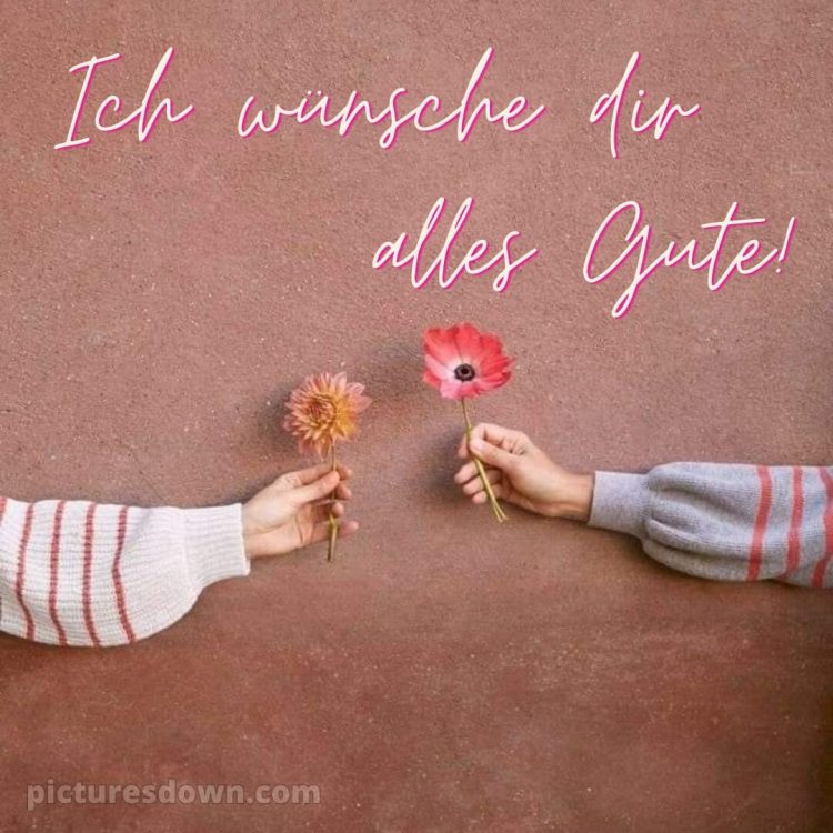 Ich wünsche dir alles gute bild zwei Hände kostenlos