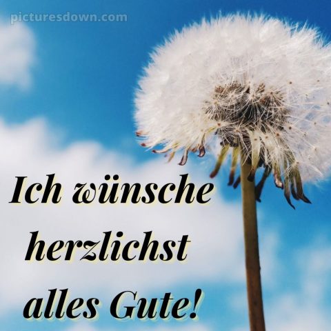 Ich wünsche dir alles gute bild Löwenzahn kostenlos