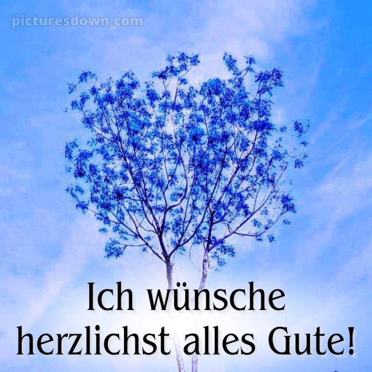 Ich wünsche dir alles gute bild Baum kostenlos