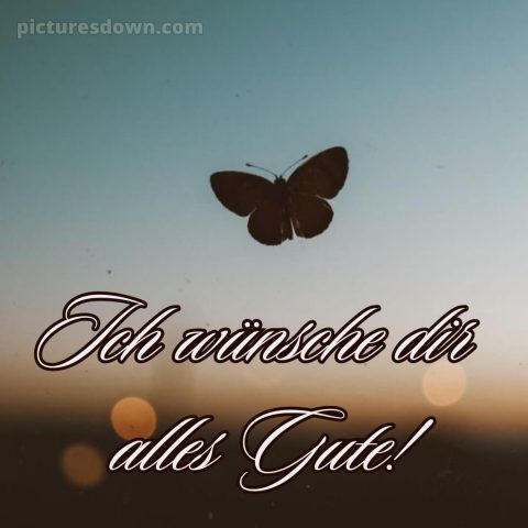 Ich wünsche dir alles gute bild Schmetterling kostenlos