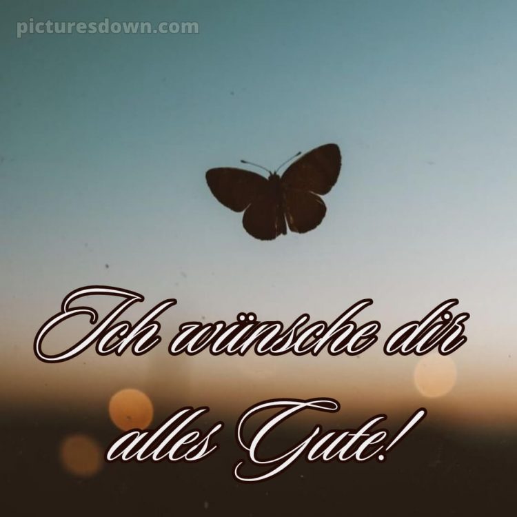 Ich wünsche dir alles gute bild Schmetterling kostenlos