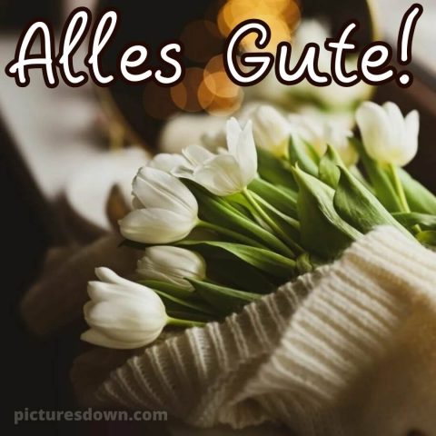Ich wünsche dir alles gute bild weiße Tulpen kostenlos
