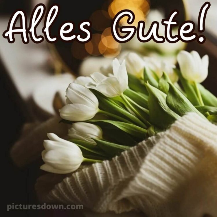 Ich wünsche dir alles gute bild weiße Tulpen kostenlos