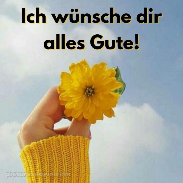 Ich wünsche dir alles gute bild gelbe Blume kostenlos