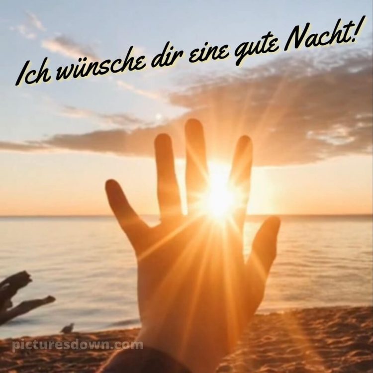 Ich wünsche dir eine gute nacht bild Hand kostenlos