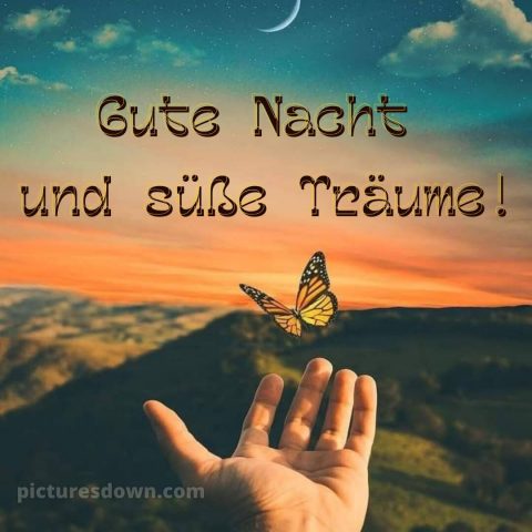 Ich wünsche dir eine gute nacht bild Schmetterling kostenlos