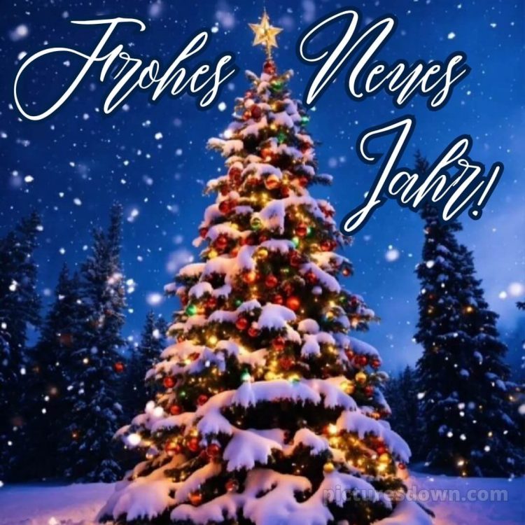 Ich wünsche dir einen guten Rutsch ins neue Jahr bild Weihnachtsbaum kostenlos
