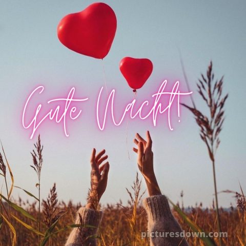 Ich wünsche dir einen schönen abend und später eine gute nacht herz bild Luftballons kostenlos