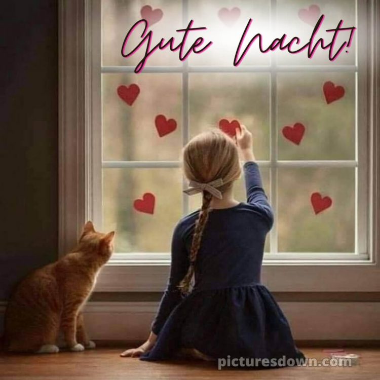 Ich wünsche dir einen schönen abend und später eine gute nacht herz bild Mädchen kostenlos