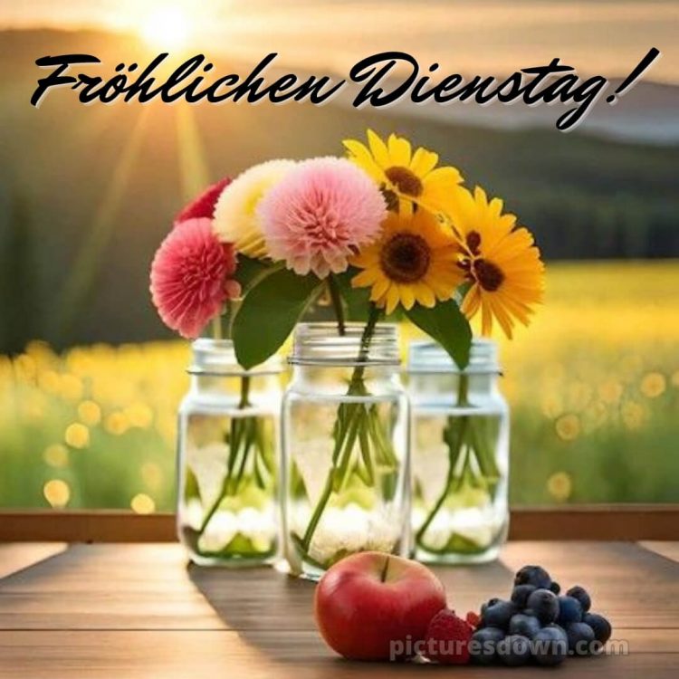 Ich wünsche dir einen schönen dienstag bild Apfel kostenlos