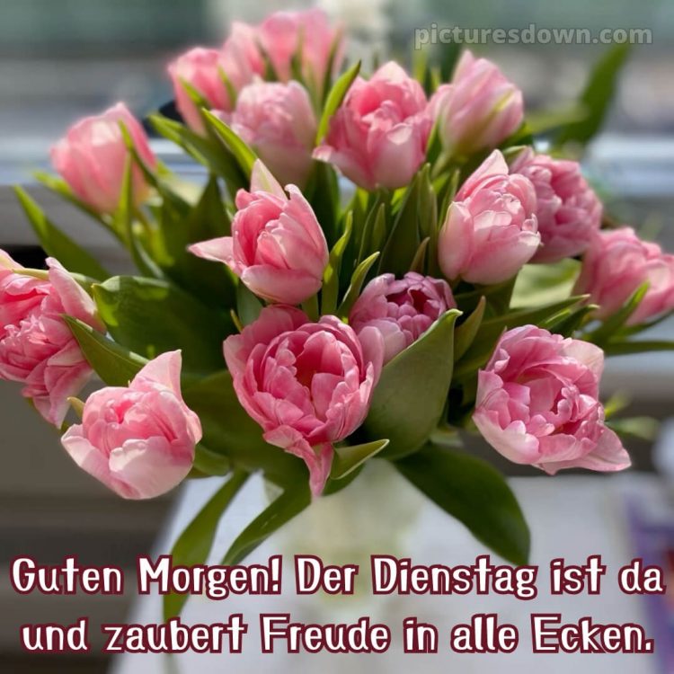 Ich wünsche dir einen schönen dienstag Tulpen Ich wünsche dir einen schönen dienstag bild Tulpen kostenlos