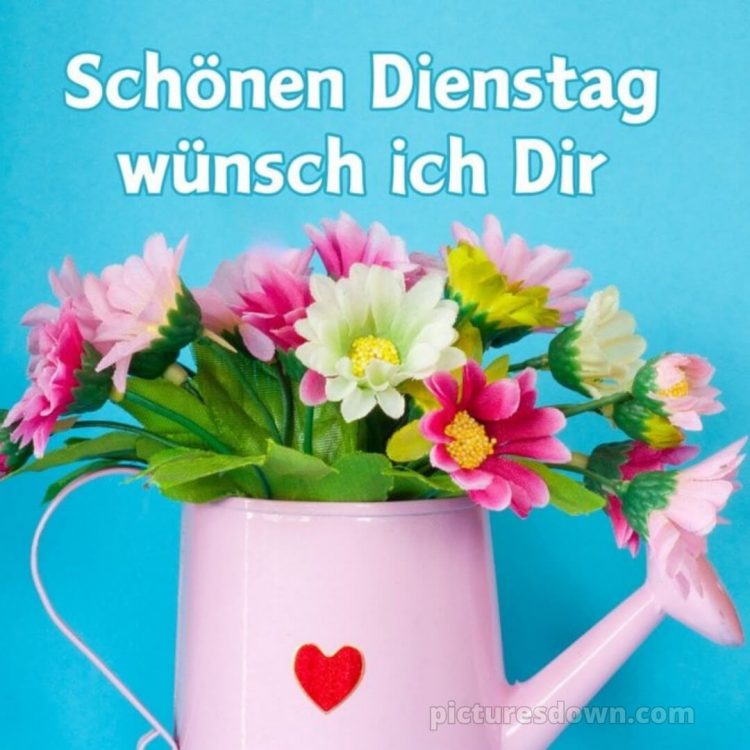 Ich wünsche dir einen schönen dienstag bild Postkarte kostenlos