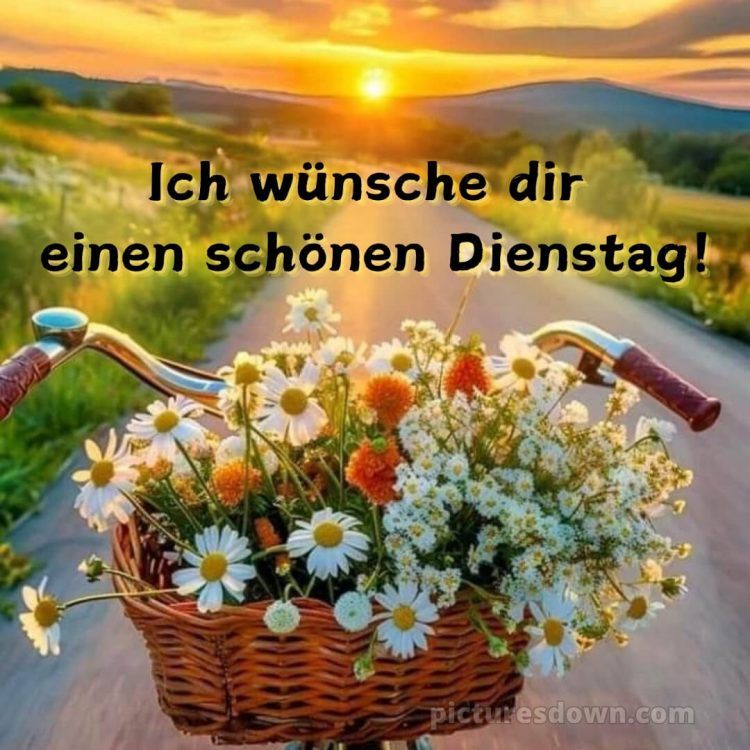 Ich wünsche dir einen schönen dienstag bild Fahrrad kostenlos