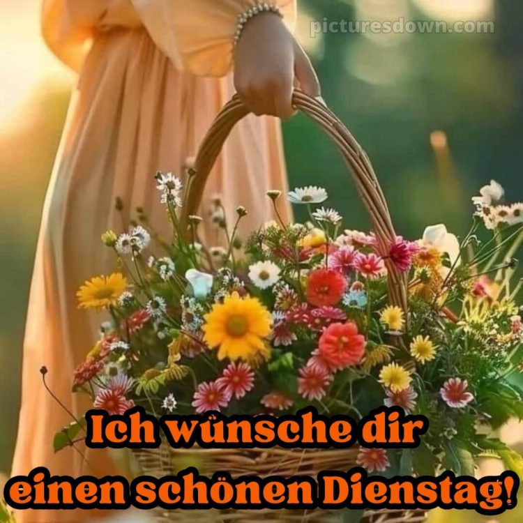 Ich wünsche dir einen schönen dienstag bild Korb kostenlos