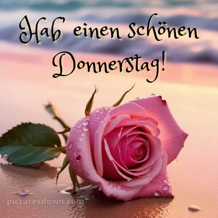 Ich wünsche dir einen schönen donnerstag bild Rose kostenlos