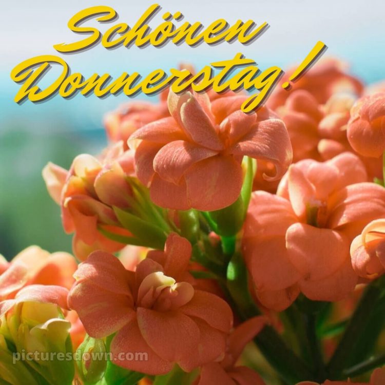 Ich wünsche dir einen schönen donnerstag bild Himmel kostenlos