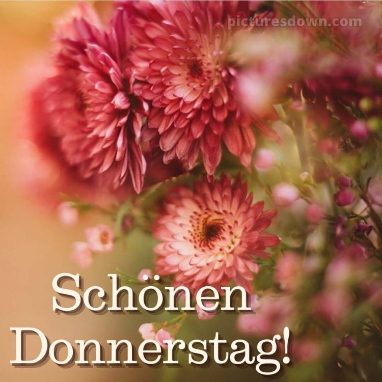 Ich wünsche dir einen schönen donnerstag bild Blumen kostenlos
