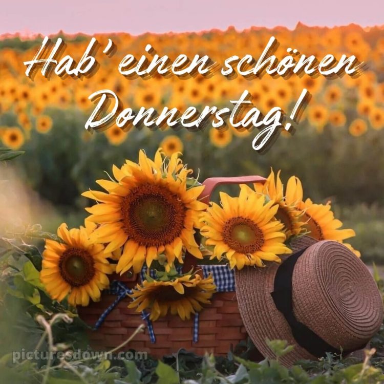 Ich wünsche dir einen schönen donnerstag bild Sonnenblumen kostenlos