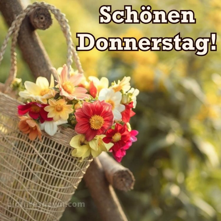 Ich wünsche dir einen schönen donnerstag bild Korb kostenlos