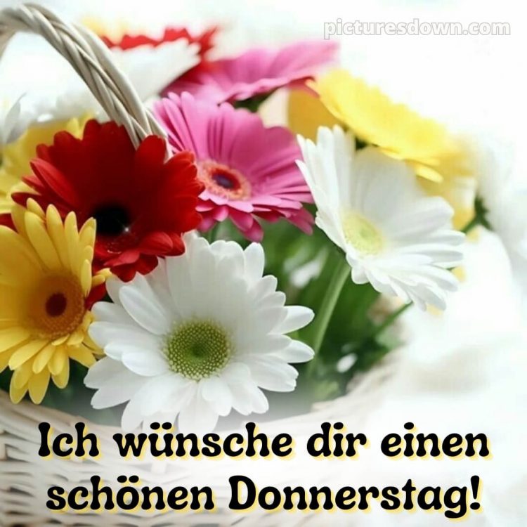 Ich wünsche dir einen schönen donnerstag bild zarte Blumen kostenlos