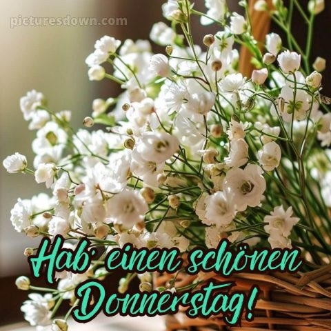 Ich wünsche dir einen schönen donnerstag bild weiße Blumen kostenlos