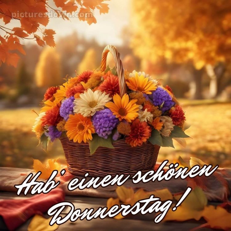 Ich wünsche dir einen schönen donnerstag bild Blätter kostenlos