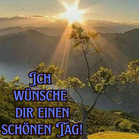 Ich wünsche dir einen schönen tag bild Sonne kostenlos