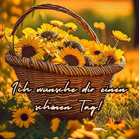 Ich wünsche dir einen schönen tag bild Korb kostenlos