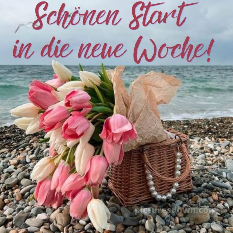 Ich wünsche dir einen schönen wochenstart bild Meer kostenlos