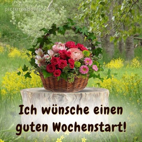 Ich wünsche dir einen schönen wochenstart bild Korb kostenlos